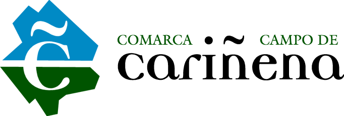 Logo - ONIRIC VIEW - Cariñena